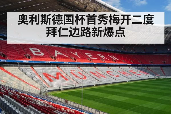 Bayern Munich football - huatihui