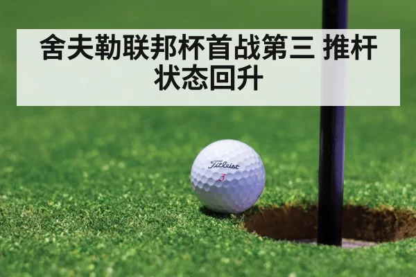 FedEx Cup golf