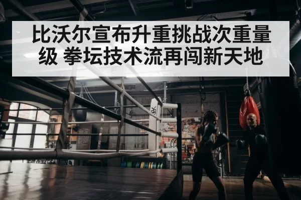 boxer training in gym - huatihui